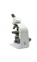 B-150POL-M Monocular Polarizing Microscope