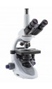 B-293PLi Trinocular Microscope