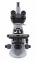 B-293PLi Trinocular Microscope