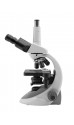 B-293PLi Trinocular Microscope